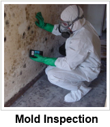 mold inspection with name